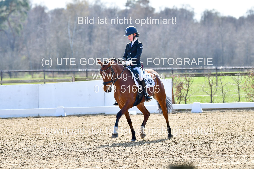 Reitsportzentrum Bremervörde | 160421Dressurpony L_57
