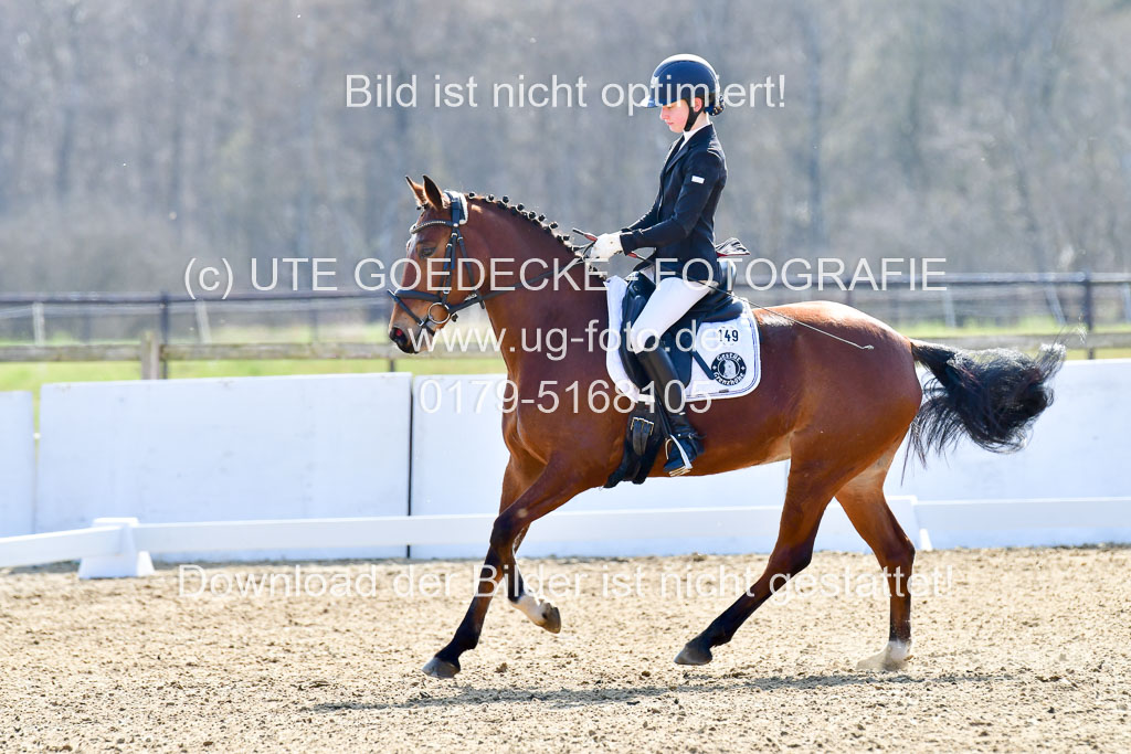 Reitsportzentrum Bremervörde | 160421Dressurpony L_60