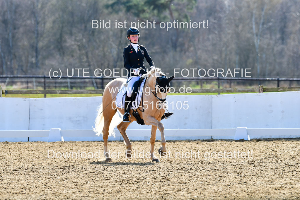 Reitsportzentrum Bremervörde | 160421Dressurpony L_68
