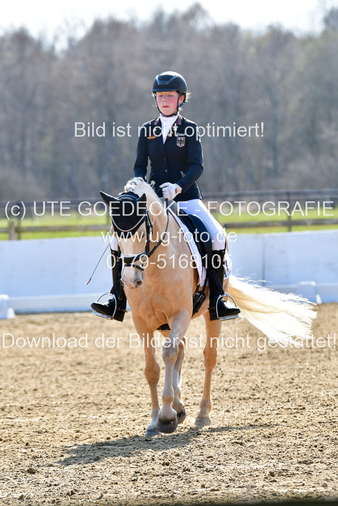 Reitsportzentrum Bremervörde | 160421Dressurpony L_69