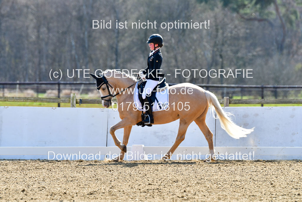 Reitsportzentrum Bremervörde | 160421Dressurpony L_70
