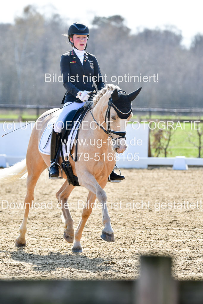 Reitsportzentrum Bremervörde | 160421Dressurpony L_72