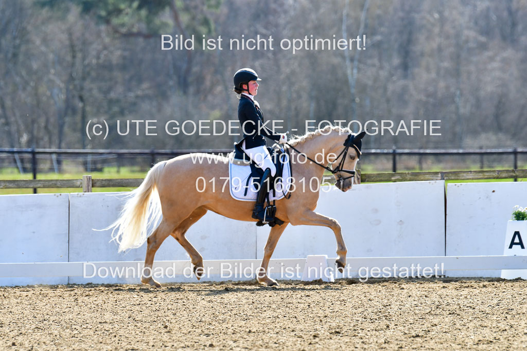 Reitsportzentrum Bremervörde | 160421Dressurpony L_73