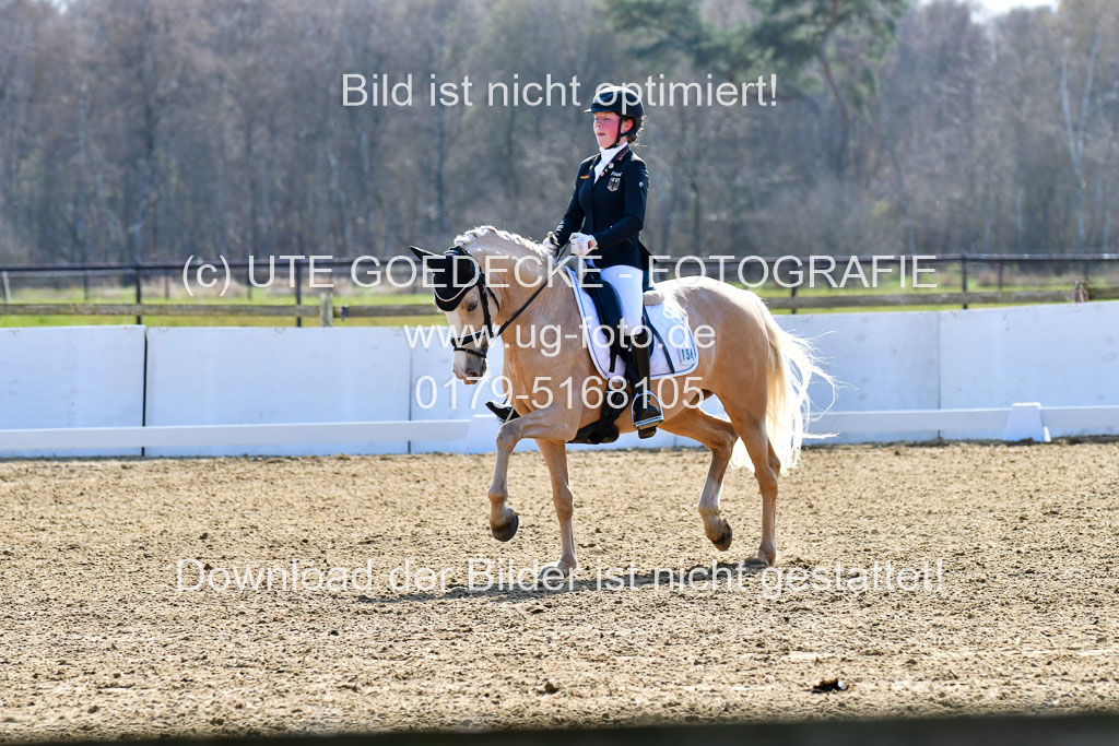 Reitsportzentrum Bremervörde | 160421Dressurpony L_74