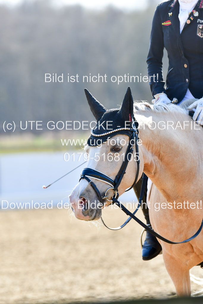 Reitsportzentrum Bremervörde | 160421Dressurpony L_81