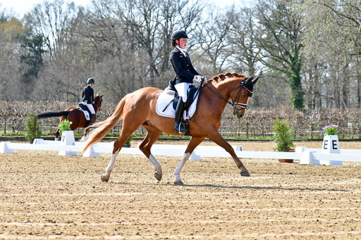 Reitsportzentrum Bremervörde | 160421Dressurpony L_01 