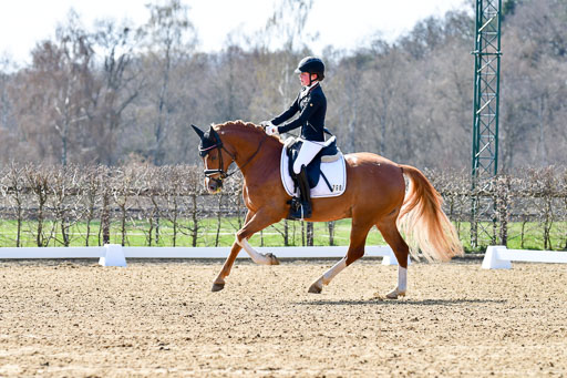 Reitsportzentrum Bremervörde | 160421Dressurpony L_04 