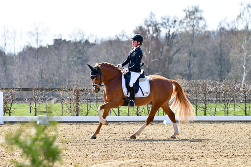 Reitsportzentrum Bremervörde | 160421Dressurpony L_05 