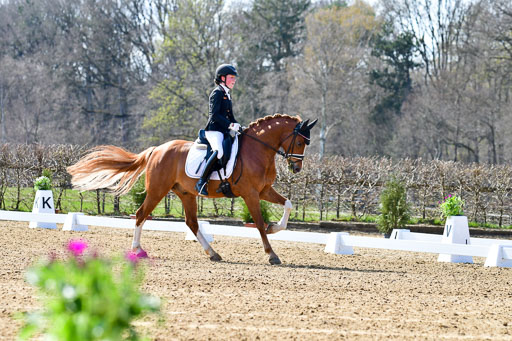 Reitsportzentrum Bremervörde | 160421Dressurpony L_06 