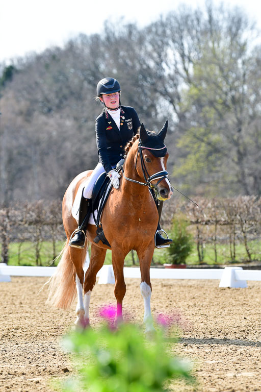 Reitsportzentrum Bremervörde | 160421Dressurpony L_08 