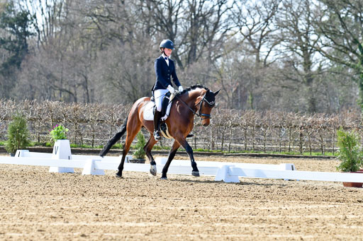 Reitsportzentrum Bremervörde | 160421Dressurpony L_09 