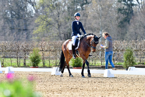 Reitsportzentrum Bremervörde | 160421Dressurpony L_11 