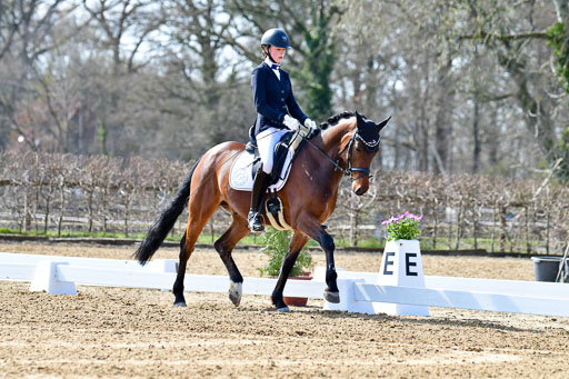 Reitsportzentrum Bremervörde | 160421Dressurpony L_12 