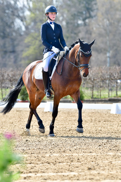 Reitsportzentrum Bremervörde | 160421Dressurpony L_14 
