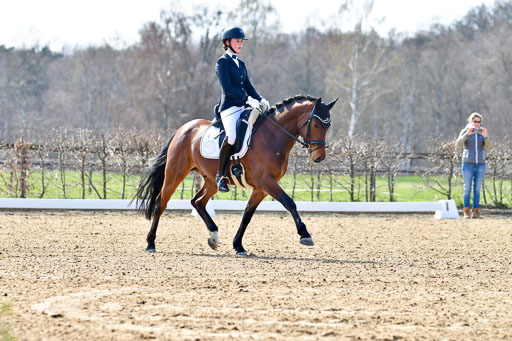 Reitsportzentrum Bremervörde | 160421Dressurpony L_15 