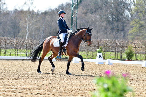 Reitsportzentrum Bremervörde | 160421Dressurpony L_16 