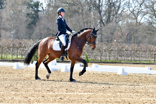 Reitsportzentrum Bremervörde | 160421Dressurpony L_19 