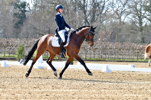 Reitsportzentrum Bremervörde | 160421Dressurpony L_20 