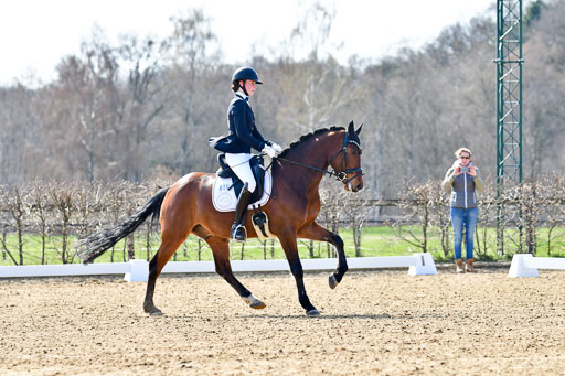 Reitsportzentrum Bremervörde | 160421Dressurpony L_21 