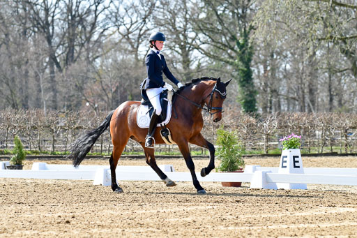Reitsportzentrum Bremervörde | 160421Dressurpony L_22 