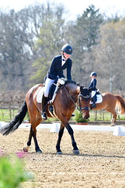 Reitsportzentrum Bremervörde | 160421Dressurpony L_24 