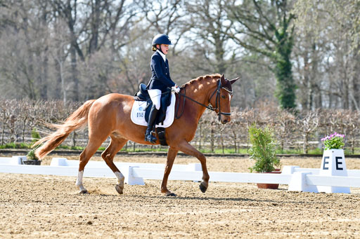 Reitsportzentrum Bremervörde | 160421Dressurpony L_27 