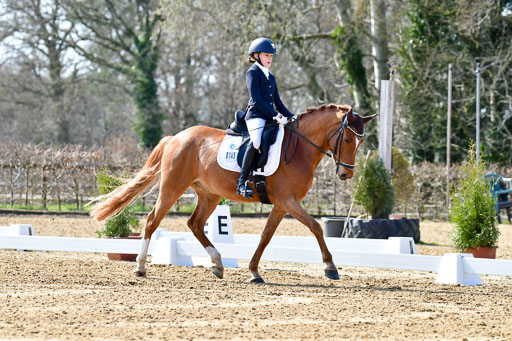 Reitsportzentrum Bremervörde | 160421Dressurpony L_28 