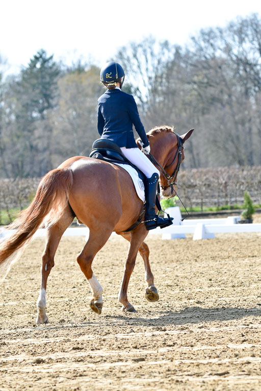 Reitsportzentrum Bremervörde | 160421Dressurpony L_29 