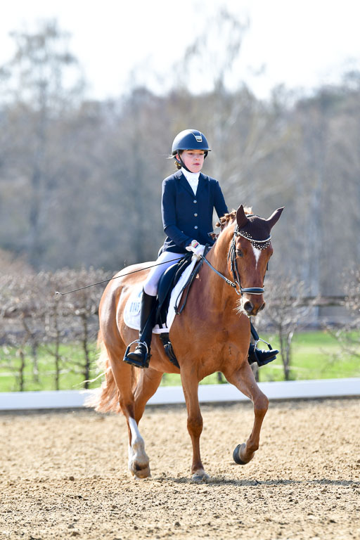 Reitsportzentrum Bremervörde | 160421Dressurpony L_30 