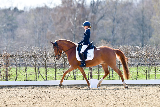 Reitsportzentrum Bremervörde | 160421Dressurpony L_32 