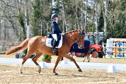 Reitsportzentrum Bremervörde | 160421Dressurpony L_34 