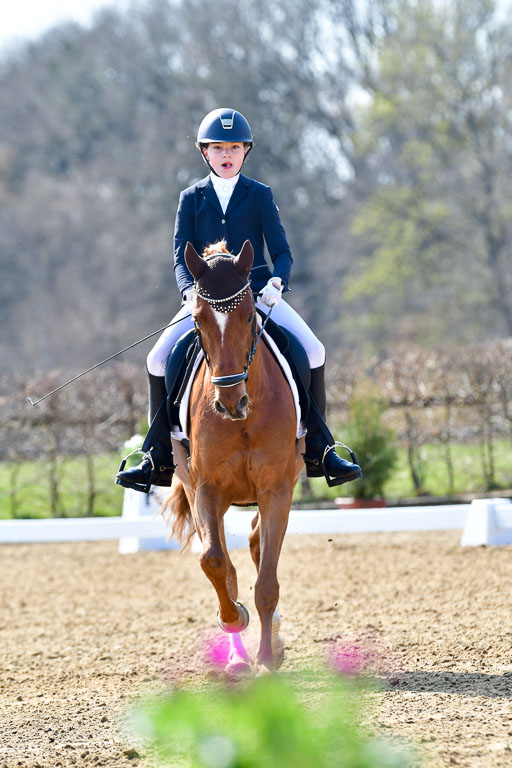 Reitsportzentrum Bremervörde | 160421Dressurpony L_36 