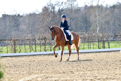 Reitsportzentrum Bremervörde | 160421Dressurpony L_38 