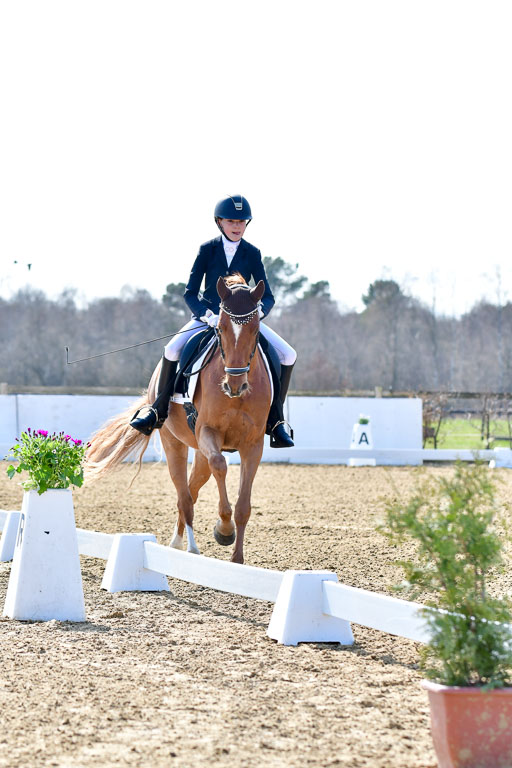 Reitsportzentrum Bremervörde | 160421Dressurpony L_39 