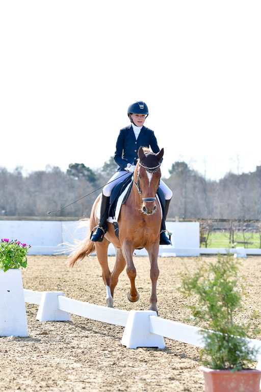 Reitsportzentrum Bremervörde | 160421Dressurpony L_40 