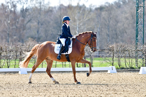 Reitsportzentrum Bremervörde | 160421Dressurpony L_41 