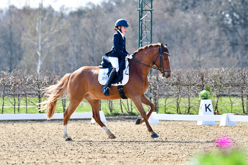 Reitsportzentrum Bremervörde | 160421Dressurpony L_42 