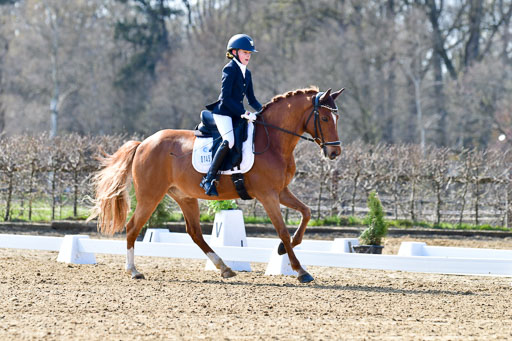 Reitsportzentrum Bremervörde | 160421Dressurpony L_43 