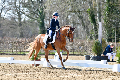 Reitsportzentrum Bremervörde | 160421Dressurpony L_44 