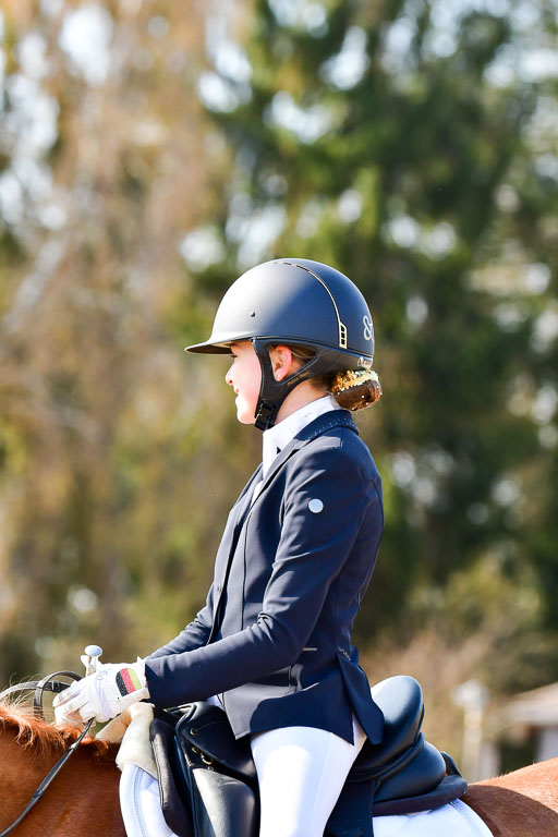 Reitsportzentrum Bremervörde | 160421Dressurpony L_47 