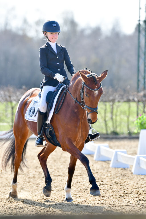Reitsportzentrum Bremervörde | 160421Dressurpony L_51 