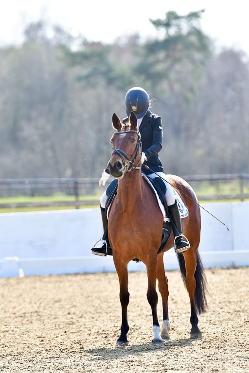 Reitsportzentrum Bremervörde | 160421Dressurpony L_52 