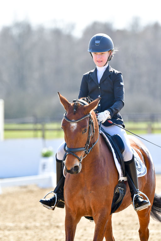 Reitsportzentrum Bremervörde | 160421Dressurpony L_53 