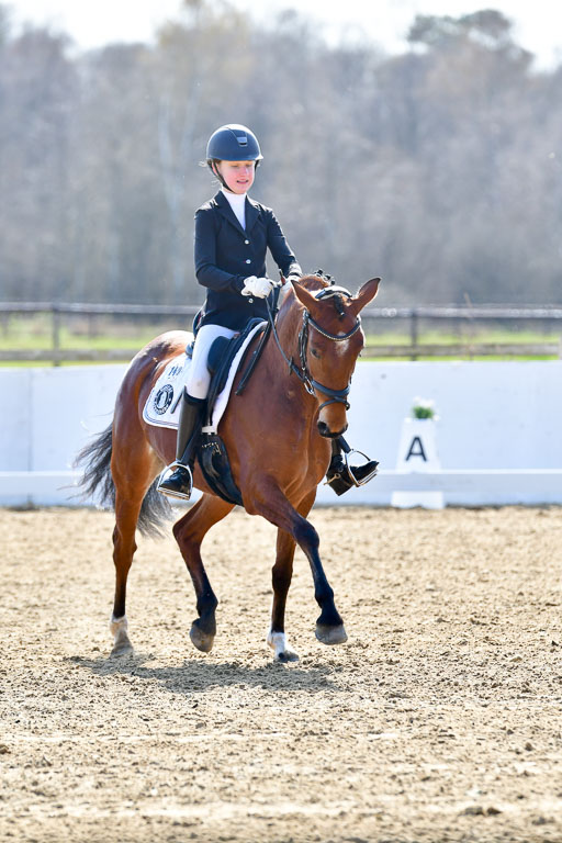 Reitsportzentrum Bremervörde | 160421Dressurpony L_56 