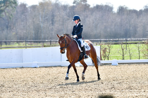 Reitsportzentrum Bremervörde | 160421Dressurpony L_57 