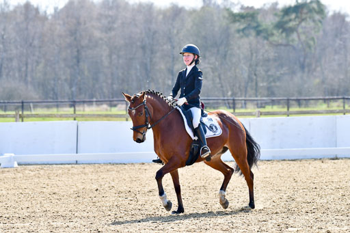 Reitsportzentrum Bremervörde | 160421Dressurpony L_58 
