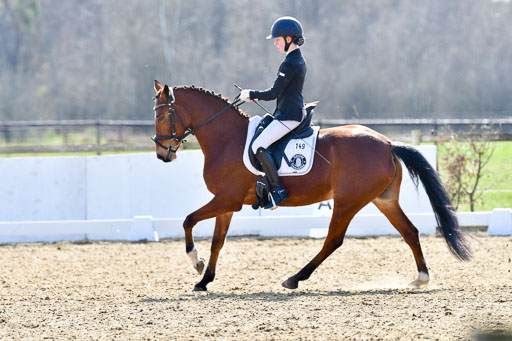 Reitsportzentrum Bremervörde | 160421Dressurpony L_59 