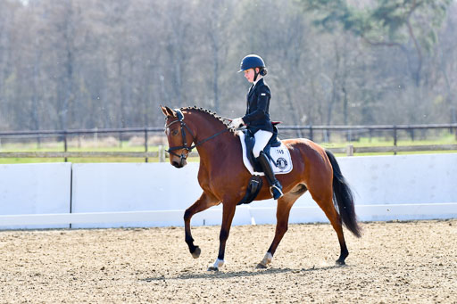 Reitsportzentrum Bremervörde | 160421Dressurpony L_61 