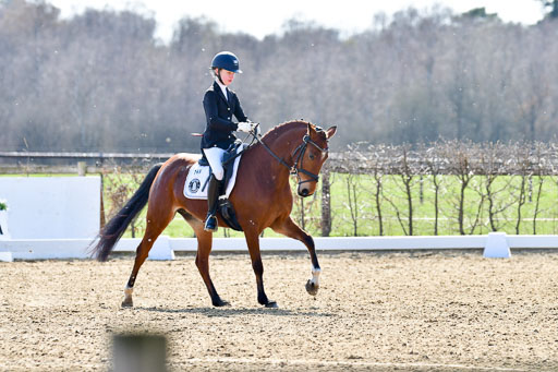 Reitsportzentrum Bremervörde | 160421Dressurpony L_62 