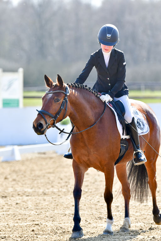 Reitsportzentrum Bremervörde | 160421Dressurpony L_64 